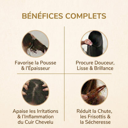 Florys Booster Capilaire Concentré